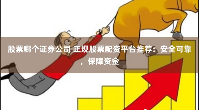 股票哪个证券公司 正规股票配资平台推荐：安全可靠，保障资金
