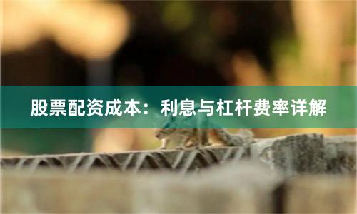 股票配资成本：利息与杠杆费率详解