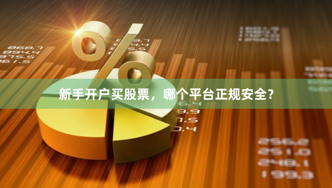 新手开户买股票，哪个平台正规安全？
